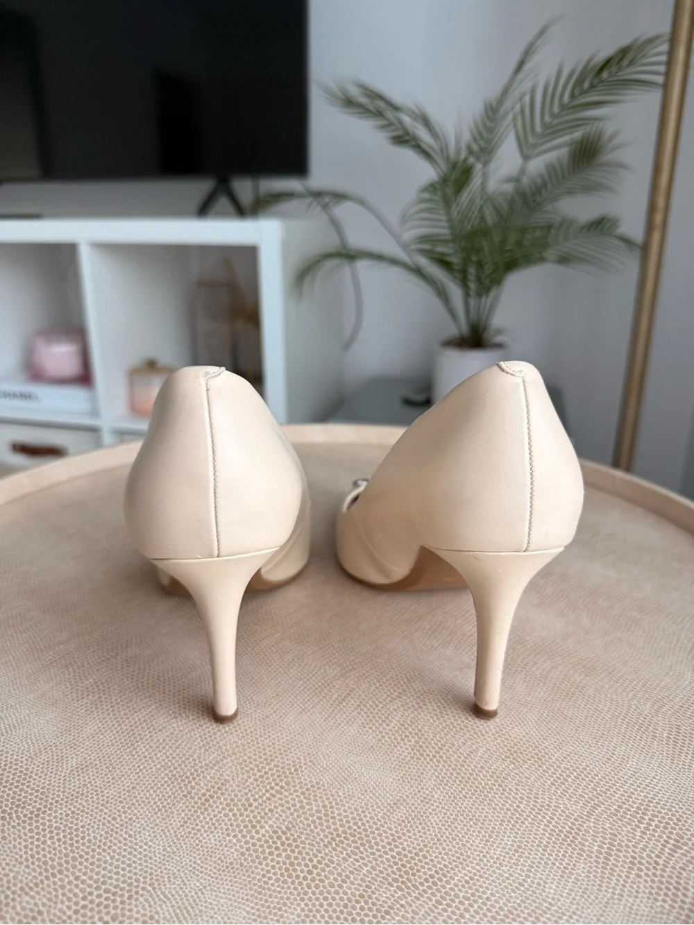 Calvin Klein Nude Pointed-Toe Logo Stiletto Pumps